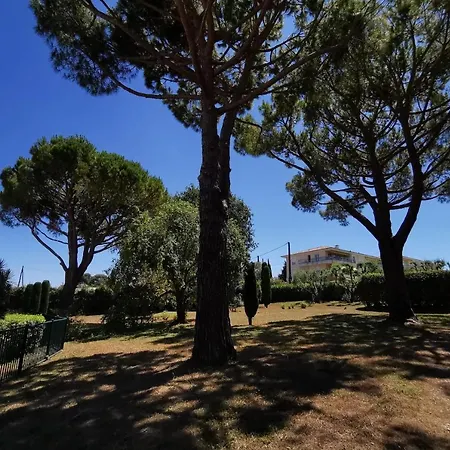 Design Studio With Terrace And Swimming Pool Appartement Antibes